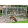 6ftx8ft Dog Cage управляет сверхмощным собачьим домом